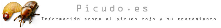 Información sobre el picudo rojo